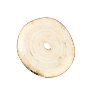 Paulownia Wood Slice