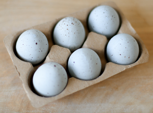Light Blue Speckled Eggs