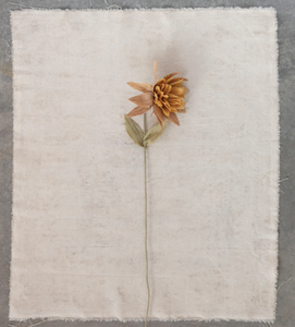 Dried Paper Flower Pick